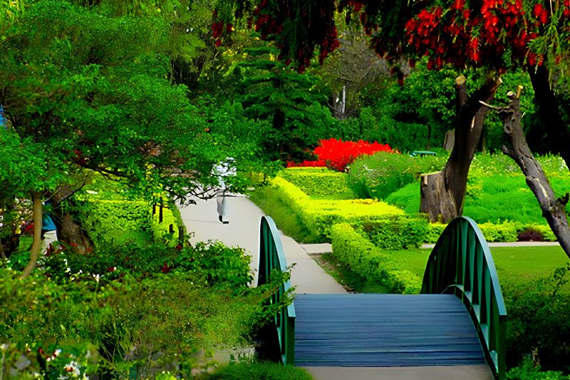 Green&Gardens