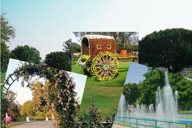Rose Garden  2