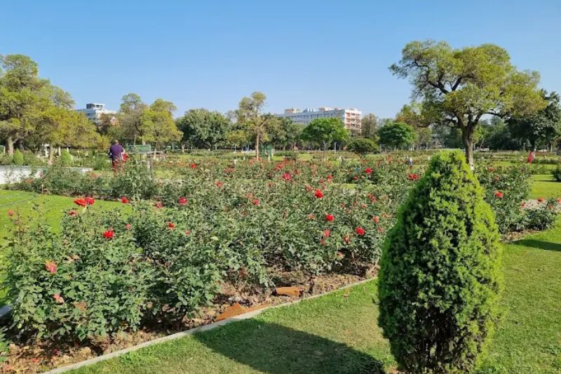 Rose Garden  3